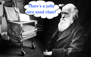 used office chair modified by Charles Darwin and charled Darwin with a thought bubble saying: That's a jolly nice used chair