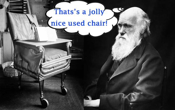 Go to article: used office chair modified by Charles Darwin and charled Darwin with a thought bubble saying: That's a jolly nice used chair