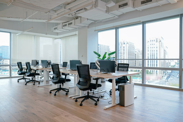 Go to article: eight ergonomic office chairs and desks with large windows in the background