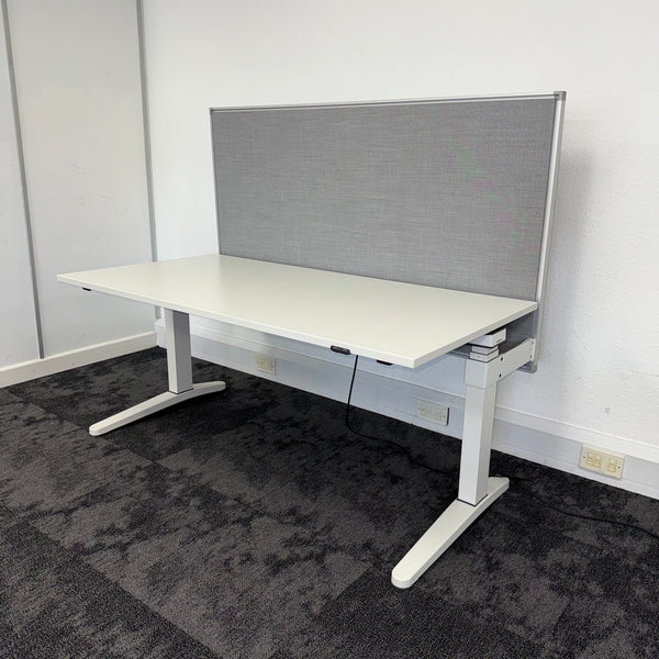 Used Steelcase Ology Height Adjustable Desk with Screen and Cable Tray