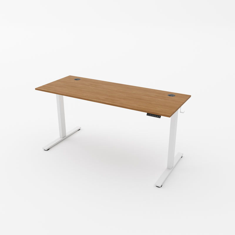 R750 Height-Adjustable Sit Stand Desk with Single Motor - Walnut top