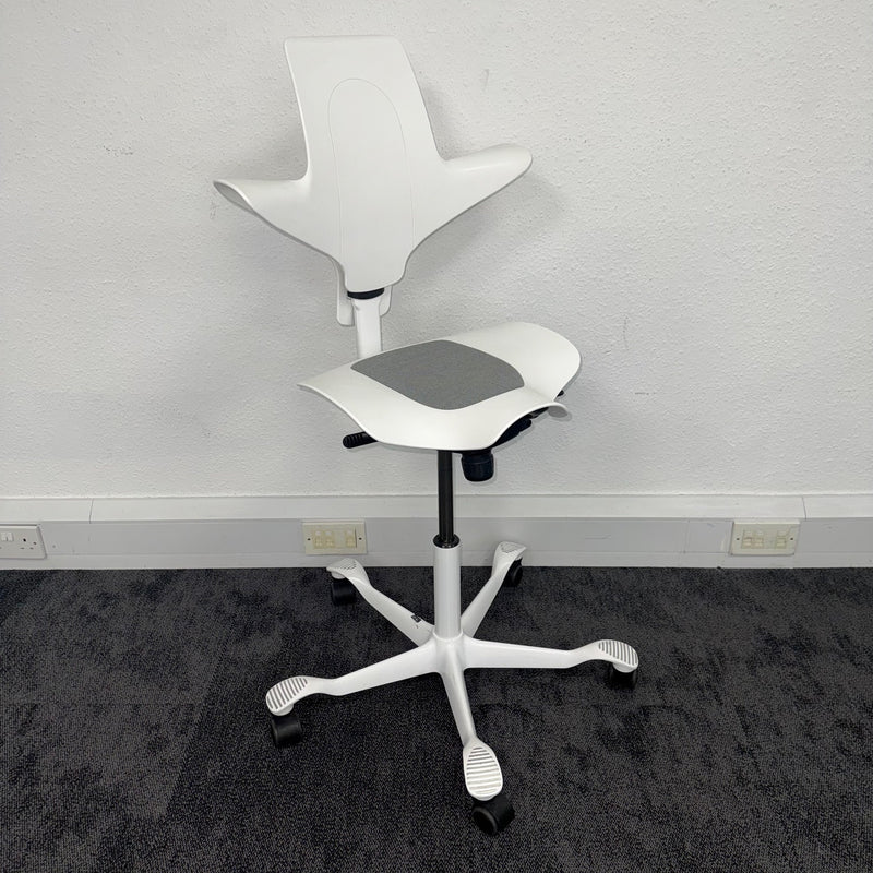 Used HAG Capisco Chair 8010