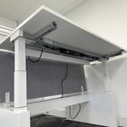 Used Assmann Canvaro Height Adjustable Bench Desk