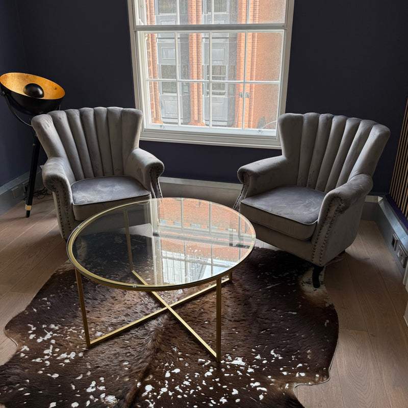 Used Reception Set with Rug, Coffee Table, 2 Chairs and Lamp