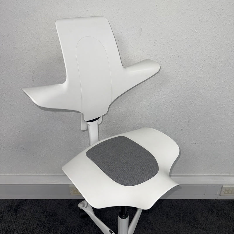 Used HAG Capisco Chair 8010