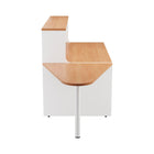 One Panel Plus Reception & Extension Unit CT